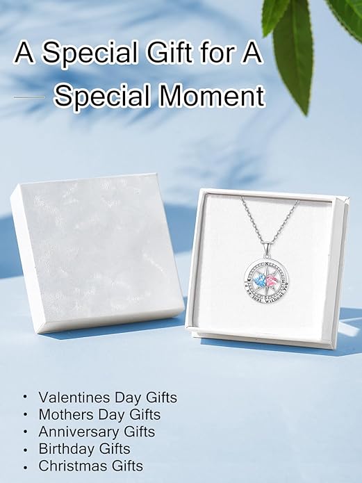 JIYVY32 Compass Birthstones Necklace for Women, Exquisite S925 Necklace Anniversary Birthday Gifts for Wife Her Double Birthstone Pendant jewelry ‘I'd be Lost Without You’