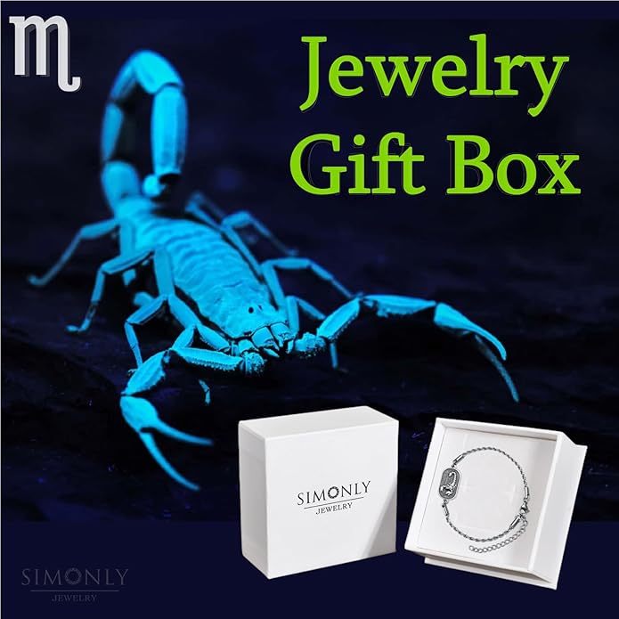 SIMONLY Zodiac Bracelet 925 Sterling Silver Constellation Anklet Horoscope Zodiac Jewelry Christmas Birthday Astrology Gifts for Women Men Unisex