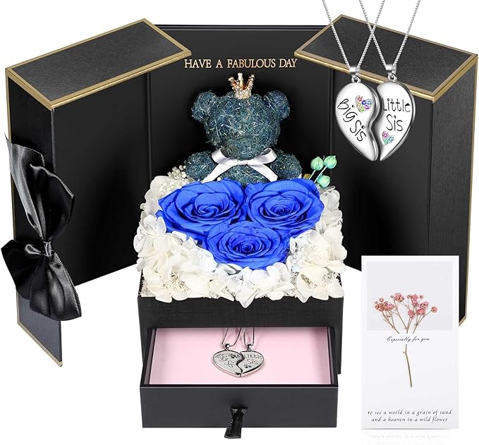ADDWel Unique Sisters Gifts from Sister, Meaningful Preseved Roses and Cute Moss Bear with White Gold-Plated Brass Necklaces, Birthday Present for Big or Little Sis