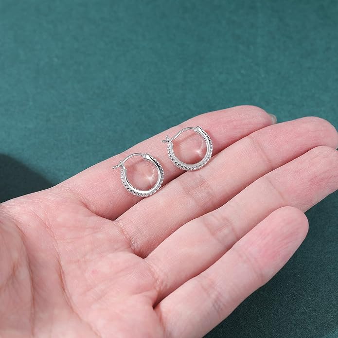 AoedeJ 925 Sterling Silver Hoop Earrings, High Polished Round Tiny Click-Top Hoop Earrings, Small Clasp Hoop Piercing Earrings