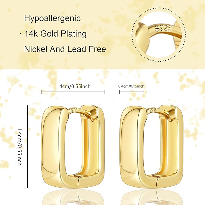 925 Sterling Silver Earrings Small Chunky Silver Earrings for Women Trendy 14K Gold Plated Hypoallergenic Cute Thick Huggie Hoops Earing Jewelry for Women Gifts