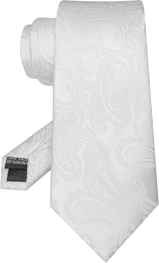JEMYGINS Mens Paisley Tie and Pocket Square,Lapel Pin,Cufflinks,Tie Clip Sets with Gift Box 5PCS
