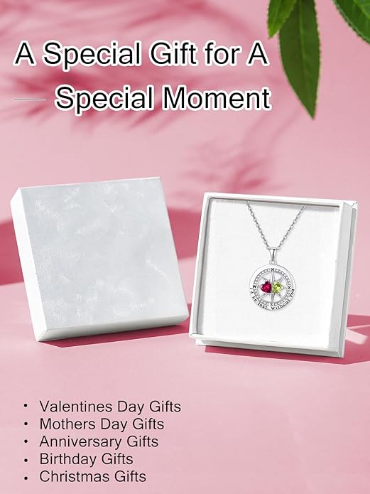 JIYVY32 Compass Birthstones Necklace for Women, Exquisite S925 Necklace Anniversary Birthday Gifts for Wife Her Double Birthstone Pendant jewelry ‘I'd be Lost Without You’