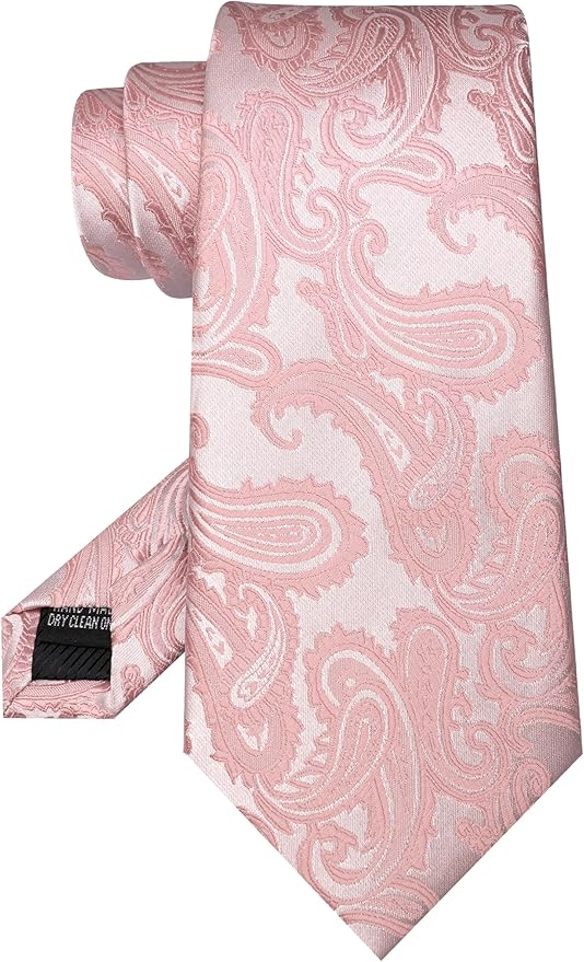 JEMYGINS Mens Paisley Tie and Pocket Square,Lapel Pin,Cufflinks,Tie Clip Sets with Gift Box 5PCS