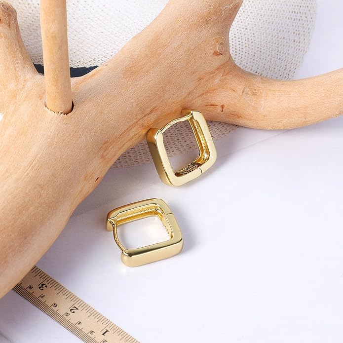 925 Sterling Silver Earrings Small Chunky Silver Earrings for Women Trendy 14K Gold Plated Hypoallergenic Cute Thick Huggie Hoops Earing Jewelry for Women Gifts