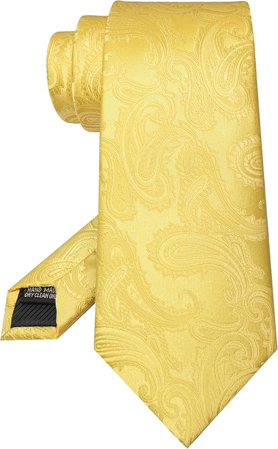 JEMYGINS Mens Paisley Tie and Pocket Square,Lapel Pin,Cufflinks,Tie Clip Sets with Gift Box 5PCS