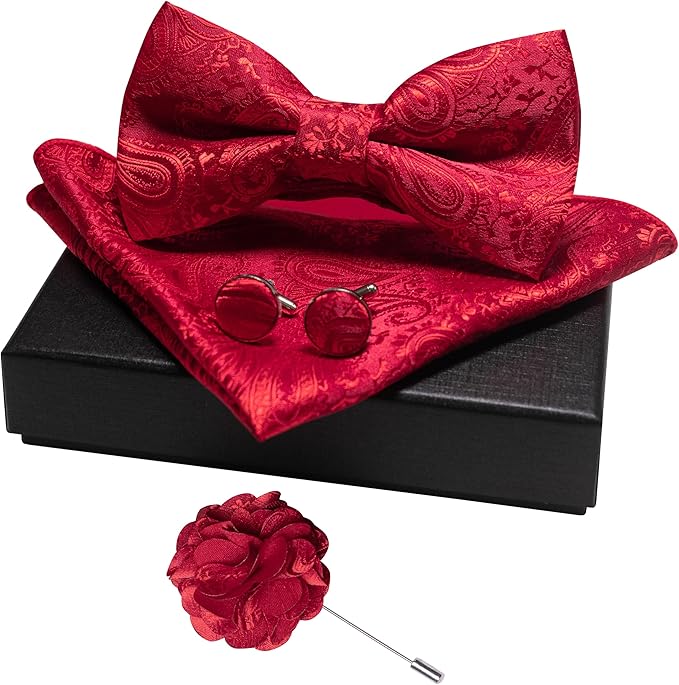 JEMYGINS Mens Paisley Bow Tie and Lapel Pin Necktie Pocket Square and Tie Clip with Sets for Business Casual 4PCS
