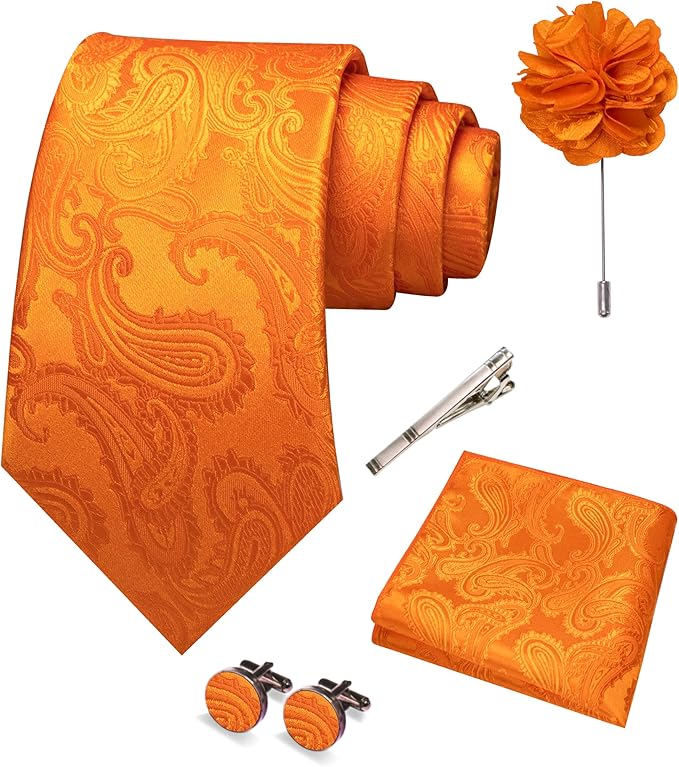 JEMYGINS Mens Paisley Tie and Pocket Square,Lapel Pin,Cufflinks,Tie Clip Sets with Gift Box 5PCS