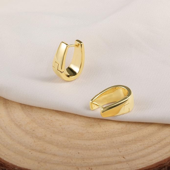 925 Sterling Silver Earrings Small Chunky Silver Earrings for Women 14K Gold Plated Small Hoop Earrings Silver Hypoallergenic Earrings Small Thick Huggie Hoops Earrings