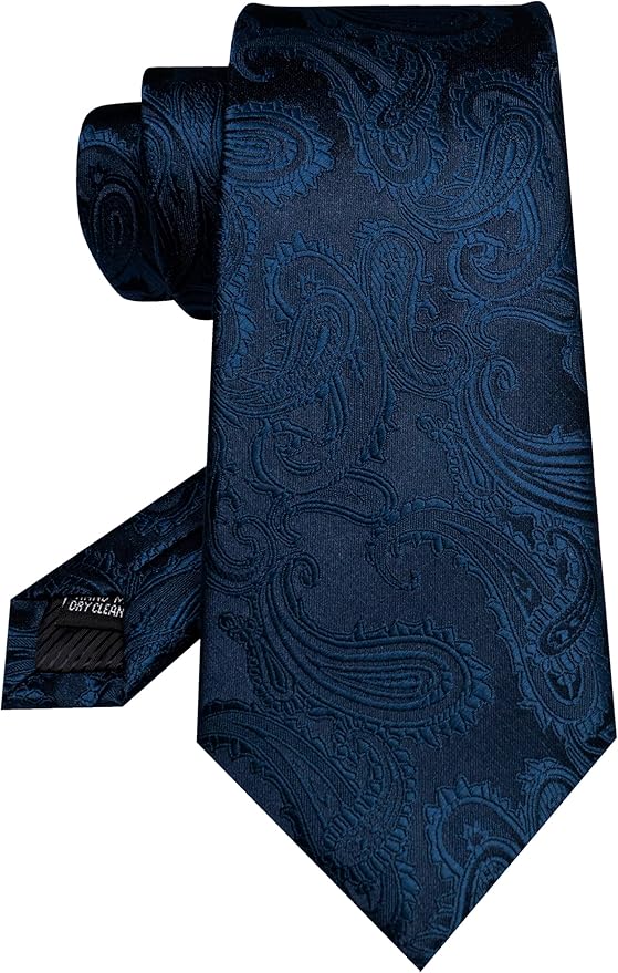 JEMYGINS Mens Paisley Tie and Pocket Square,Lapel Pin,Cufflinks,Tie Clip Sets with Gift Box 5PCS
