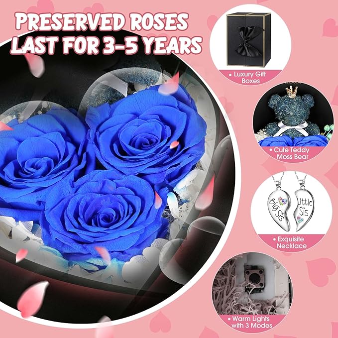 ADDWel Unique Sisters Gifts from Sister, Meaningful Preseved Roses and Cute Moss Bear with White Gold-Plated Brass Necklaces, Birthday Present for Big or Little Sis