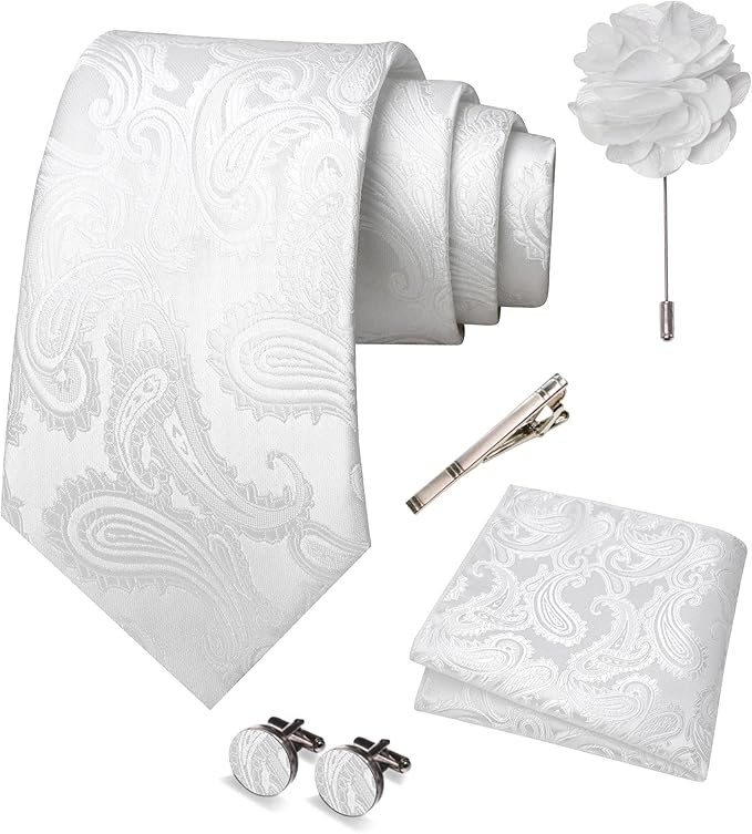 JEMYGINS Mens Paisley Tie and Pocket Square,Lapel Pin,Cufflinks,Tie Clip Sets with Gift Box 5PCS
