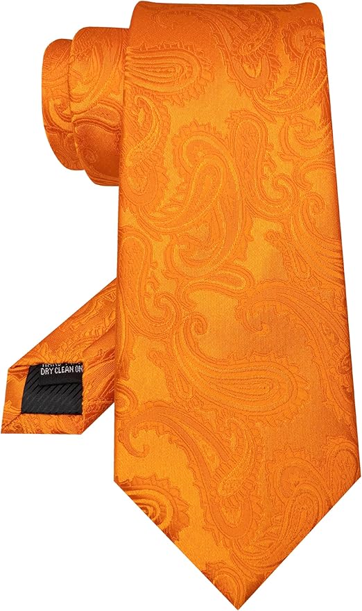 JEMYGINS Mens Paisley Tie and Pocket Square,Lapel Pin,Cufflinks,Tie Clip Sets with Gift Box 5PCS