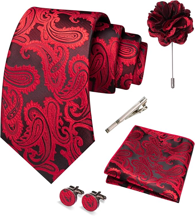 JEMYGINS Mens Paisley Tie and Pocket Square,Lapel Pin,Cufflinks,Tie Clip Sets with Gift Box 5PCS
