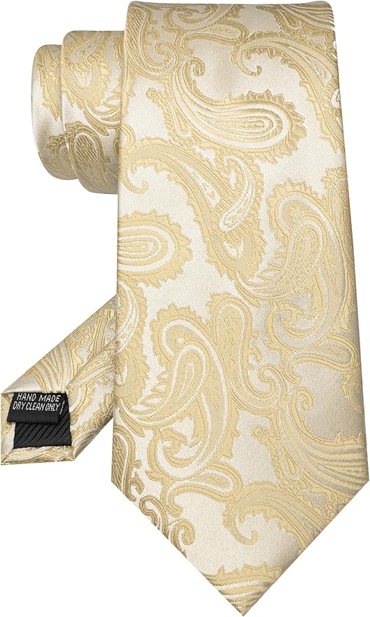 JEMYGINS Mens Paisley Tie and Pocket Square,Lapel Pin,Cufflinks,Tie Clip Sets with Gift Box 5PCS
