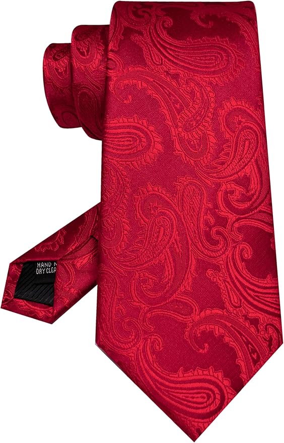 JEMYGINS Mens Paisley Tie and Pocket Square,Lapel Pin,Cufflinks,Tie Clip Sets with Gift Box 5PCS