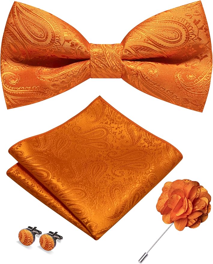 JEMYGINS Mens Paisley Bow Tie and Lapel Pin Necktie Pocket Square and Tie Clip with Sets for Business Casual 4PCS