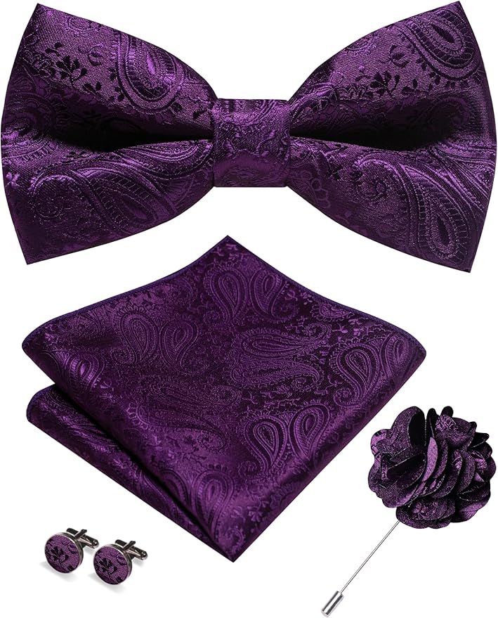 JEMYGINS Mens Paisley Bow Tie and Lapel Pin Necktie Pocket Square and Tie Clip with Sets for Business Casual 4PCS