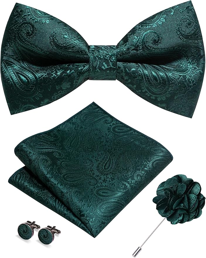 JEMYGINS Mens Paisley Bow Tie and Lapel Pin Necktie Pocket Square and Tie Clip with Sets for Business Casual 4PCS