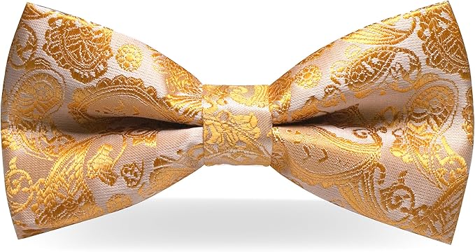 JEMYGINS Paisley Pre-tied Bow Tie and Pocket Square Cufflinks Lapel Pin Sets for Men 4PCS