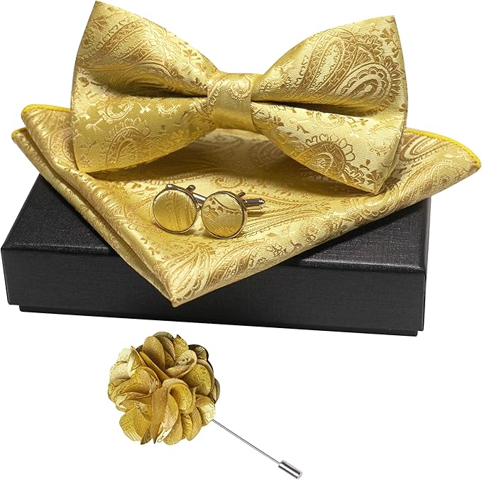 JEMYGINS Mens Paisley Bow Tie and Lapel Pin Necktie Pocket Square and Tie Clip with Sets for Business Casual 4PCS