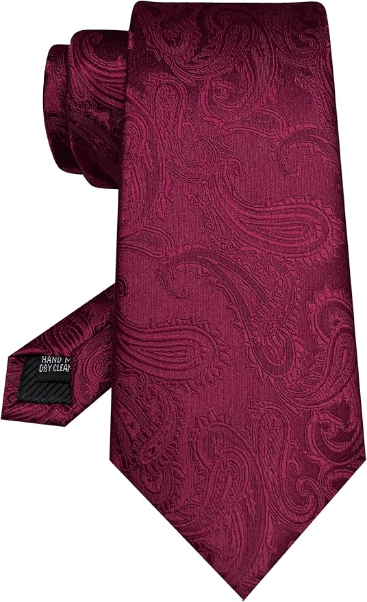 JEMYGINS Mens Paisley Tie and Pocket Square,Lapel Pin,Cufflinks,Tie Clip Sets with Gift Box 5PCS