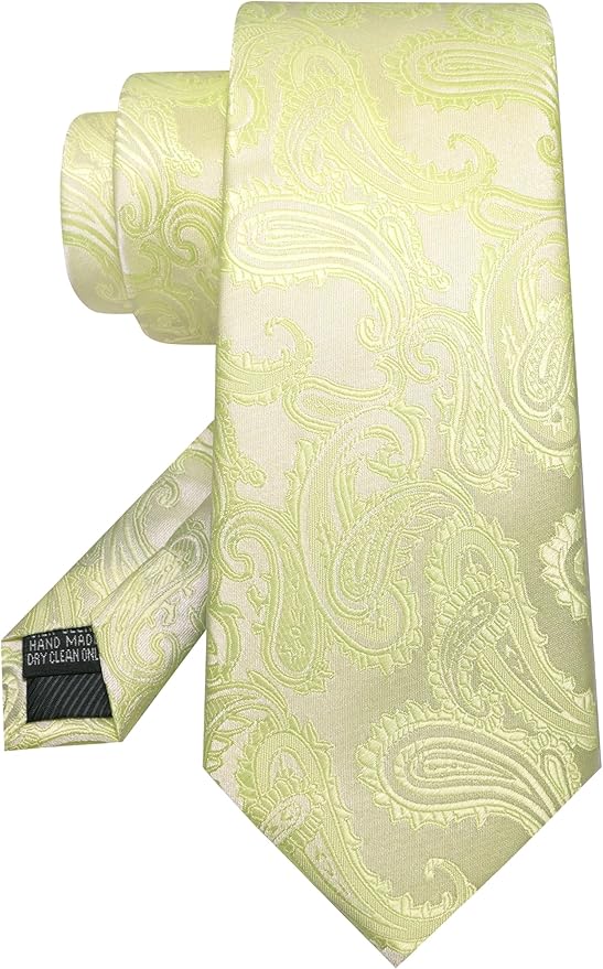 JEMYGINS Mens Paisley Tie and Pocket Square,Lapel Pin,Cufflinks,Tie Clip Sets with Gift Box 5PCS