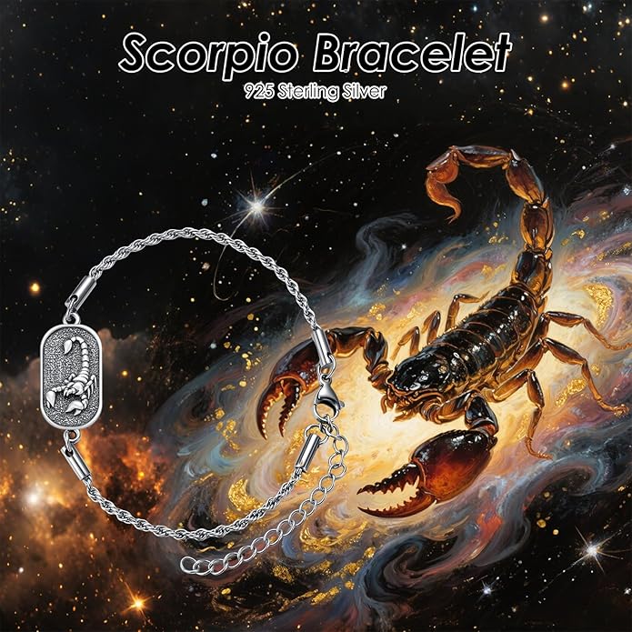 SIMONLY Zodiac Bracelet 925 Sterling Silver Constellation Anklet Horoscope Zodiac Jewelry Christmas Birthday Astrology Gifts for Women Men Unisex