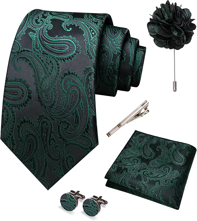 JEMYGINS Mens Paisley Tie and Pocket Square,Lapel Pin,Cufflinks,Tie Clip Sets with Gift Box 5PCS