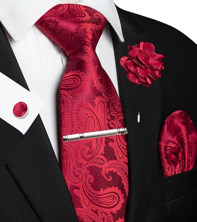 JEMYGINS Mens Paisley Tie and Pocket Square,Lapel Pin,Cufflinks,Tie Clip Sets with Gift Box 5PCS