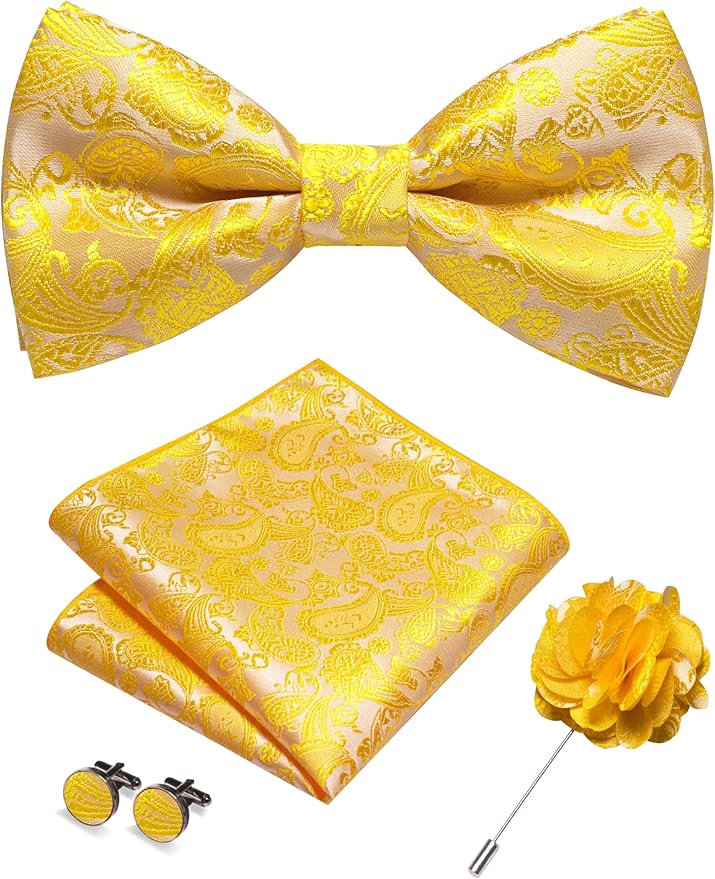 JEMYGINS Paisley Pre-tied Bow Tie and Pocket Square Cufflinks Lapel Pin Sets for Men 4PCS