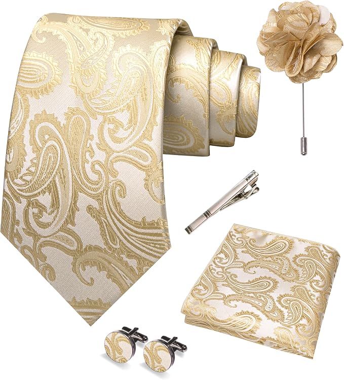 JEMYGINS Mens Paisley Tie and Pocket Square,Lapel Pin,Cufflinks,Tie Clip Sets with Gift Box 5PCS