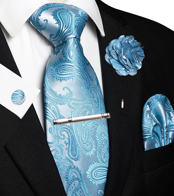 JEMYGINS Mens Paisley Tie and Pocket Square,Lapel Pin,Cufflinks,Tie Clip Sets with Gift Box 5PCS