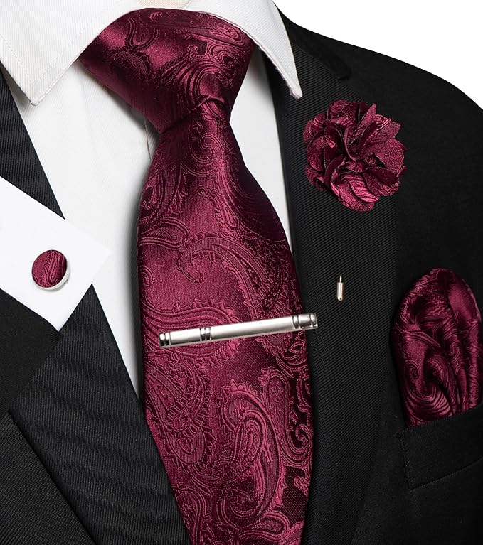 JEMYGINS Mens Paisley Tie and Pocket Square,Lapel Pin,Cufflinks,Tie Clip Sets with Gift Box 5PCS