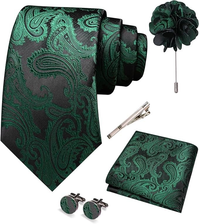 JEMYGINS Mens Paisley Tie and Pocket Square,Lapel Pin,Cufflinks,Tie Clip Sets with Gift Box 5PCS