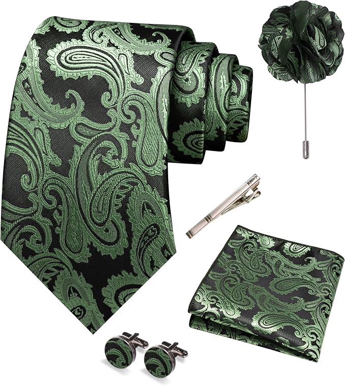 JEMYGINS Mens Paisley Tie and Pocket Square,Lapel Pin,Cufflinks,Tie Clip Sets with Gift Box 5PCS