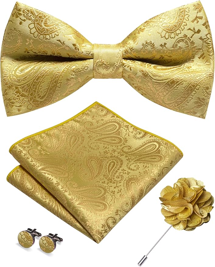 JEMYGINS Mens Paisley Bow Tie and Lapel Pin Necktie Pocket Square and Tie Clip with Sets for Business Casual 4PCS