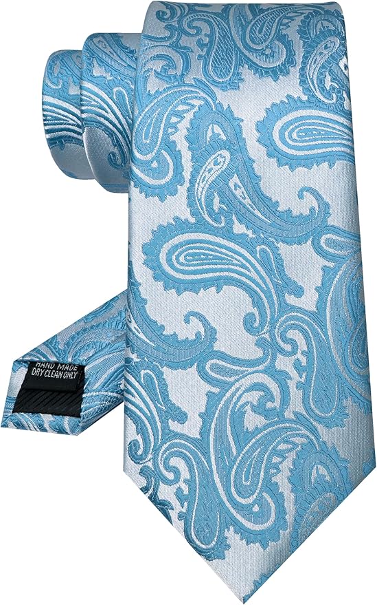 JEMYGINS Mens Paisley Tie and Pocket Square,Lapel Pin,Cufflinks,Tie Clip Sets with Gift Box 5PCS