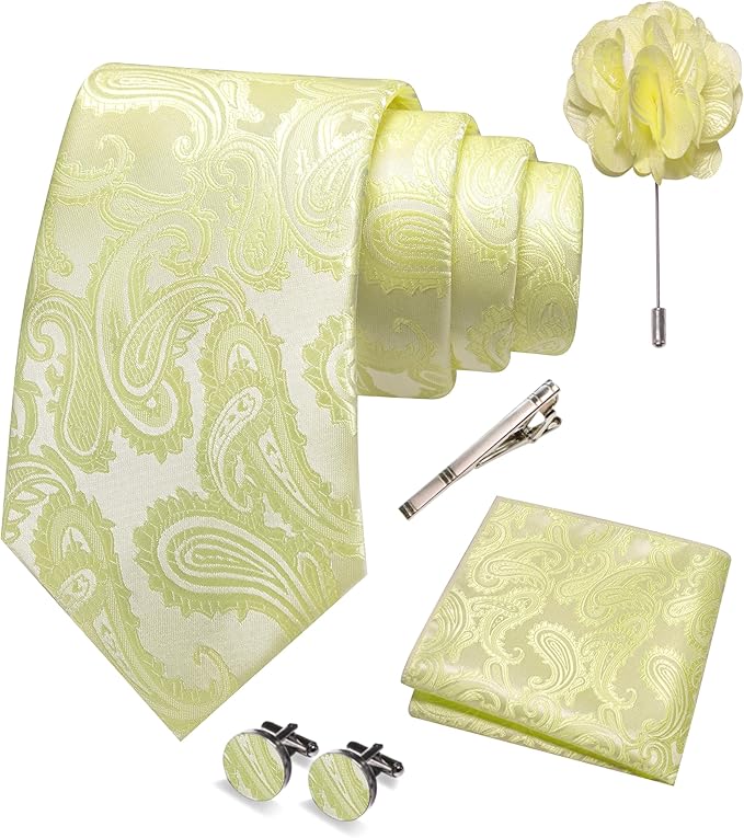 JEMYGINS Mens Paisley Tie and Pocket Square,Lapel Pin,Cufflinks,Tie Clip Sets with Gift Box 5PCS