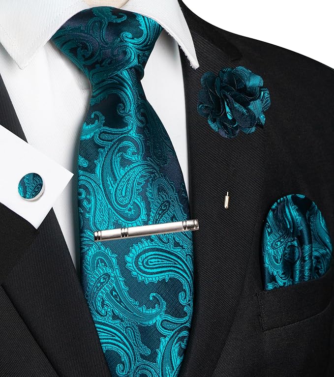 JEMYGINS Mens Paisley Tie and Pocket Square,Lapel Pin,Cufflinks,Tie Clip Sets with Gift Box 5PCS