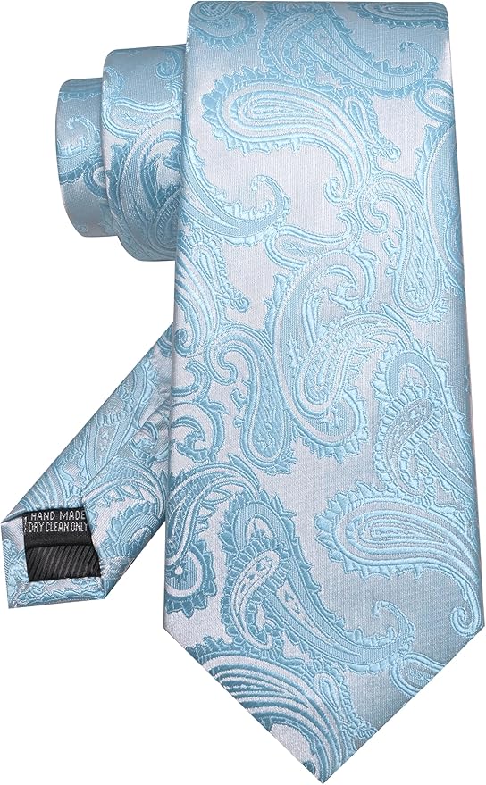 JEMYGINS Mens Paisley Tie and Pocket Square,Lapel Pin,Cufflinks,Tie Clip Sets with Gift Box 5PCS