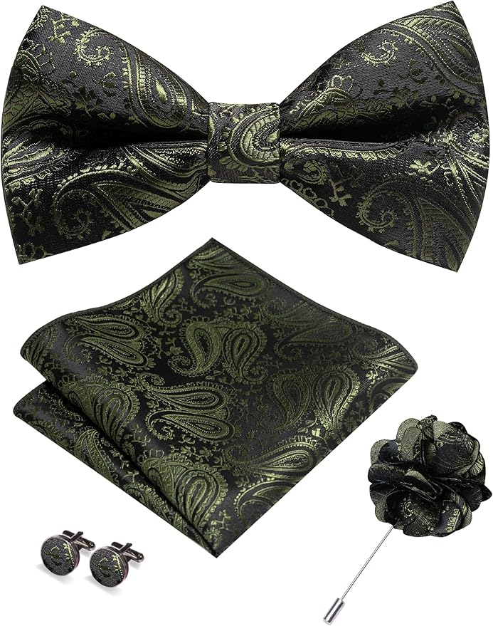 JEMYGINS Mens Paisley Bow Tie and Lapel Pin Necktie Pocket Square and Tie Clip with Sets for Business Casual 4PCS