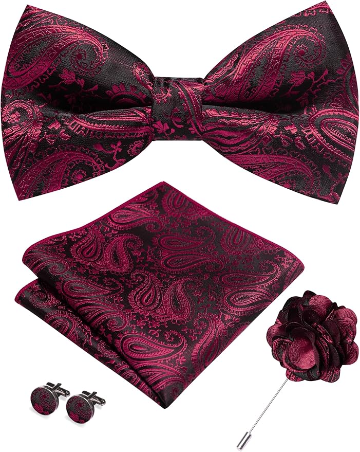 JEMYGINS Mens Paisley Bow Tie and Lapel Pin Necktie Pocket Square and Tie Clip with Sets for Business Casual 4PCS
