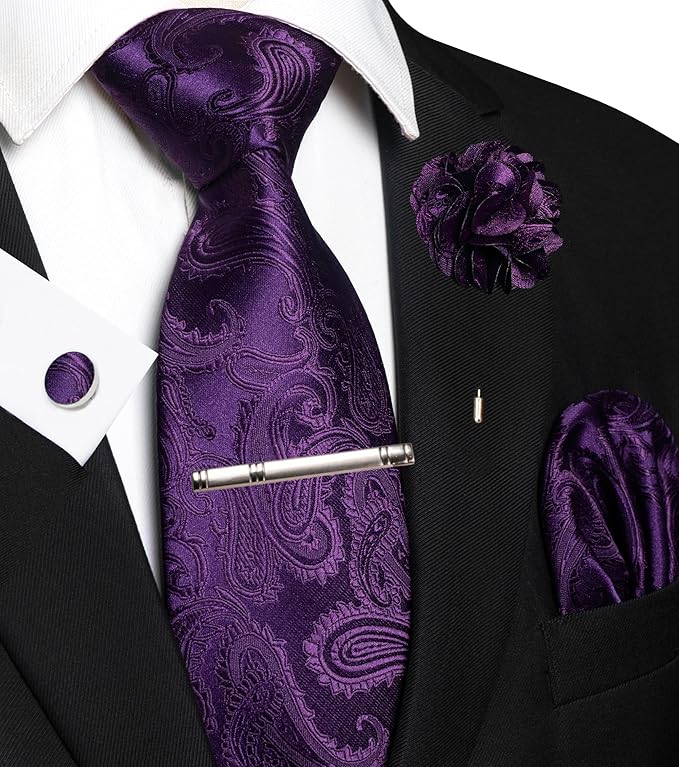 JEMYGINS Mens Paisley Tie and Pocket Square,Lapel Pin,Cufflinks,Tie Clip Sets with Gift Box 5PCS
