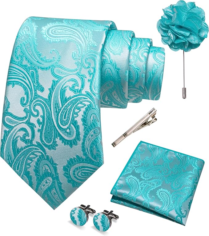 JEMYGINS Mens Paisley Tie and Pocket Square,Lapel Pin,Cufflinks,Tie Clip Sets with Gift Box 5PCS