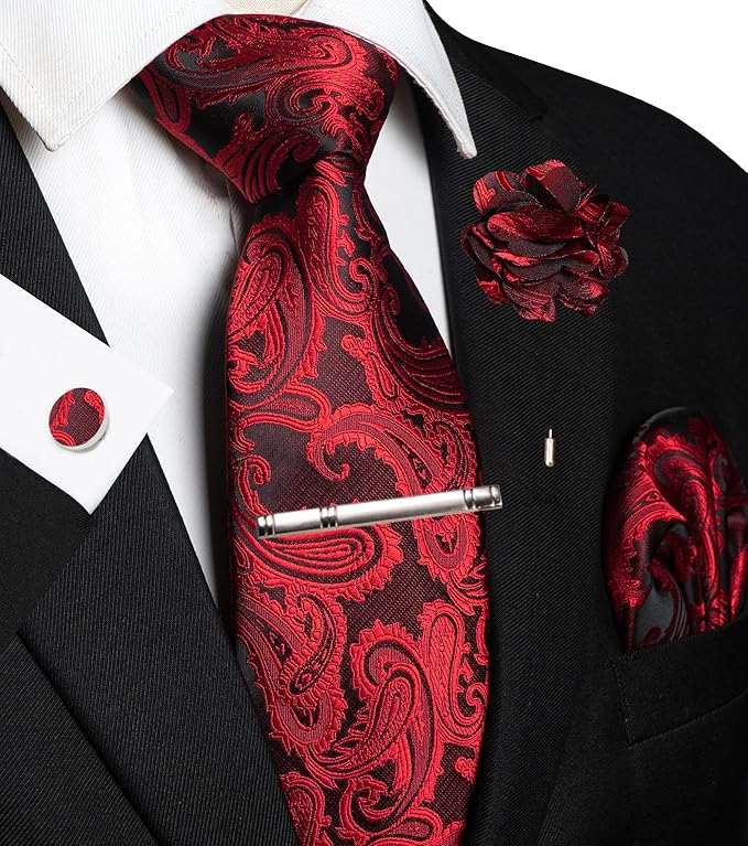 JEMYGINS Mens Paisley Tie and Pocket Square,Lapel Pin,Cufflinks,Tie Clip Sets with Gift Box 5PCS