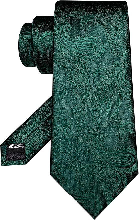JEMYGINS Mens Paisley Tie and Pocket Square,Lapel Pin,Cufflinks,Tie Clip Sets with Gift Box 5PCS