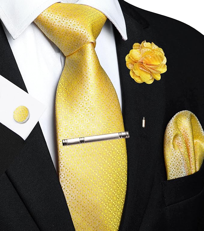 JEMYGINS Mens Tie and Pocket Square,Lapel Pin,Cufflinks,Tie Clip Sets with Gift Box 5PCS