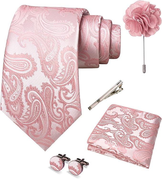 JEMYGINS Mens Paisley Tie and Pocket Square,Lapel Pin,Cufflinks,Tie Clip Sets with Gift Box 5PCS