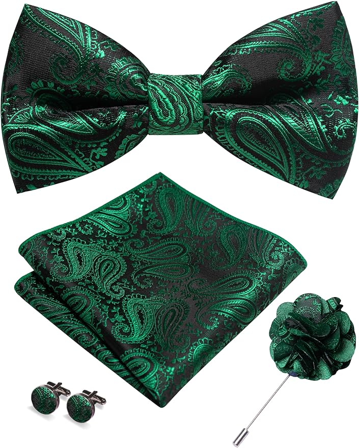 JEMYGINS Mens Paisley Bow Tie and Lapel Pin Necktie Pocket Square and Tie Clip with Sets for Business Casual 4PCS